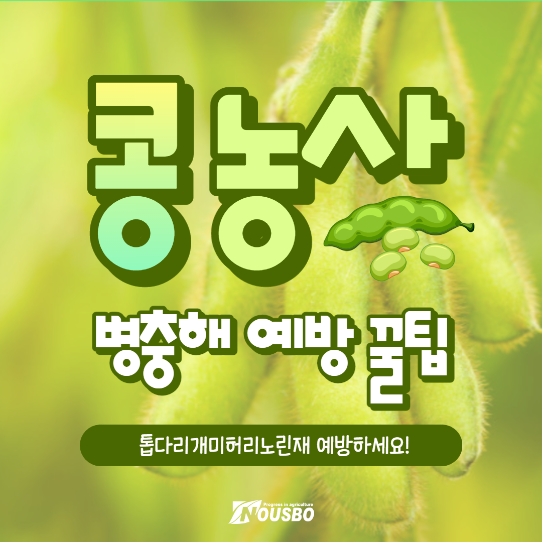 콩농사_001.png