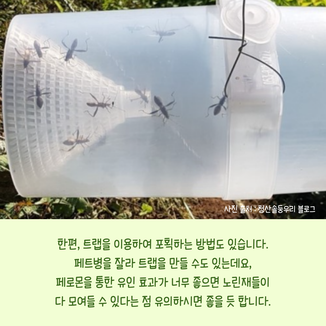 콩농사_008.png