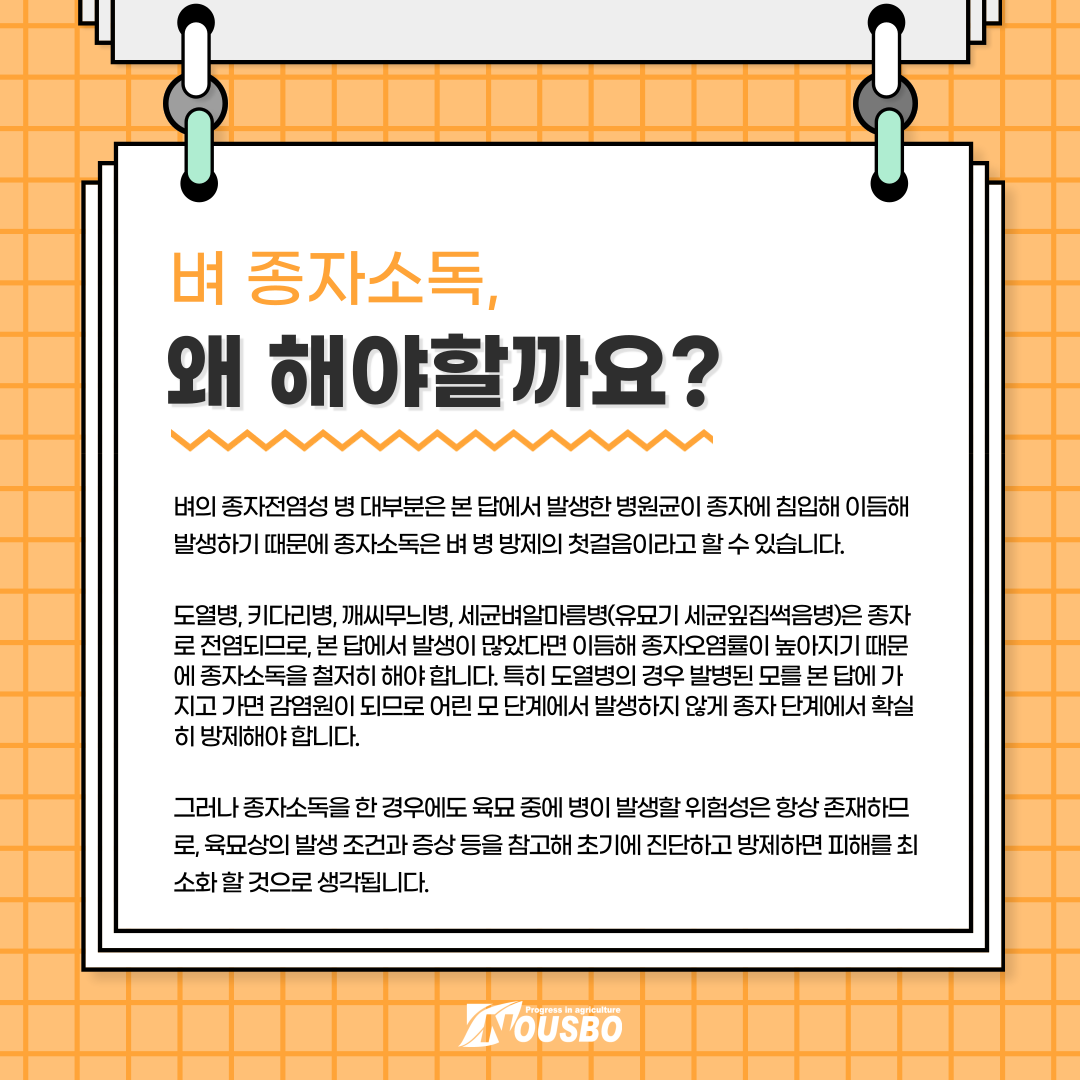 알쓸신잡_벼종자_002.png