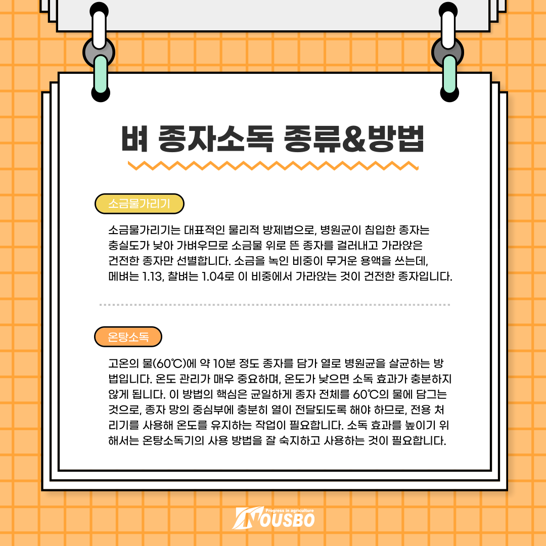 알쓸신잡_벼종자_003.png