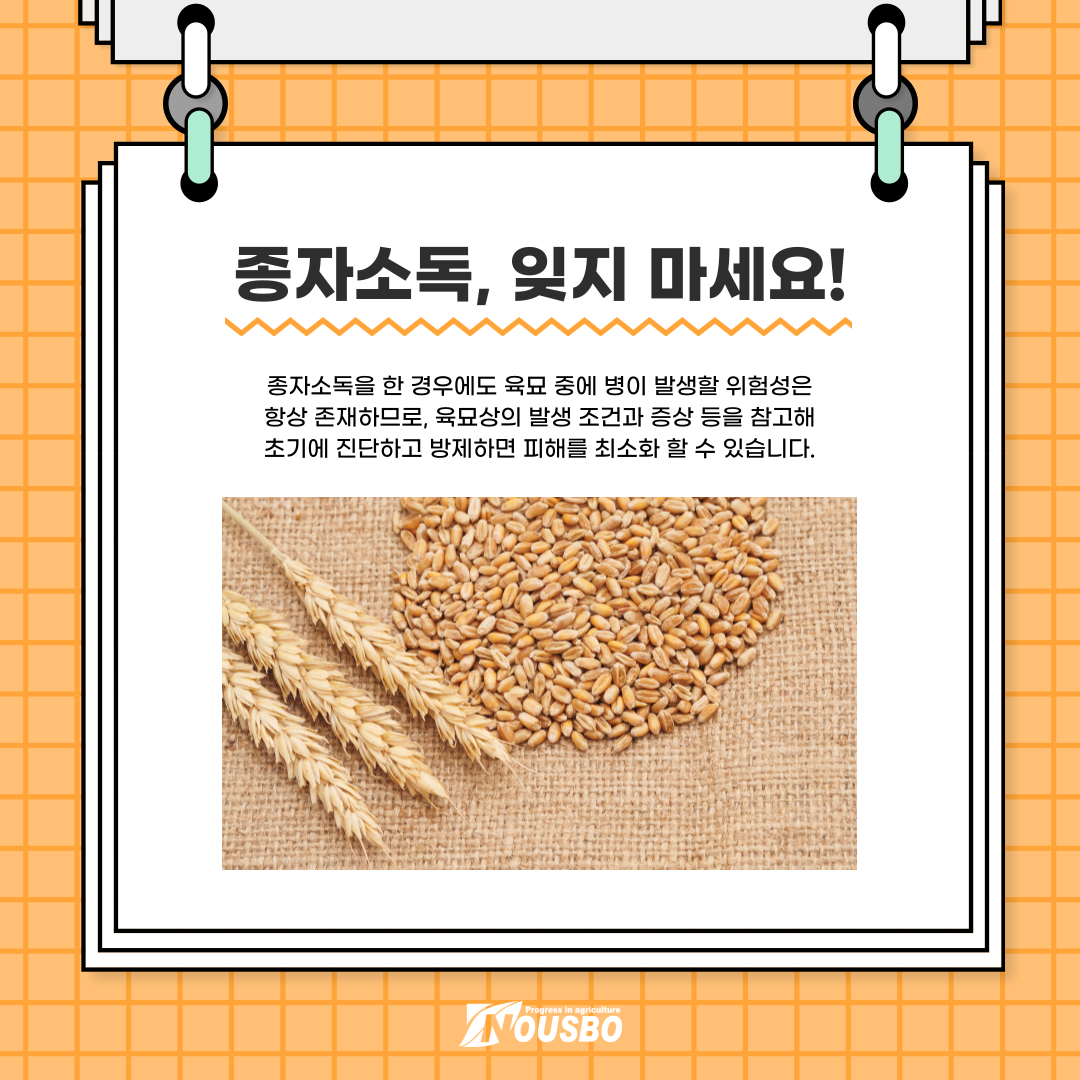 알쓸신잡_벼종자_007.png