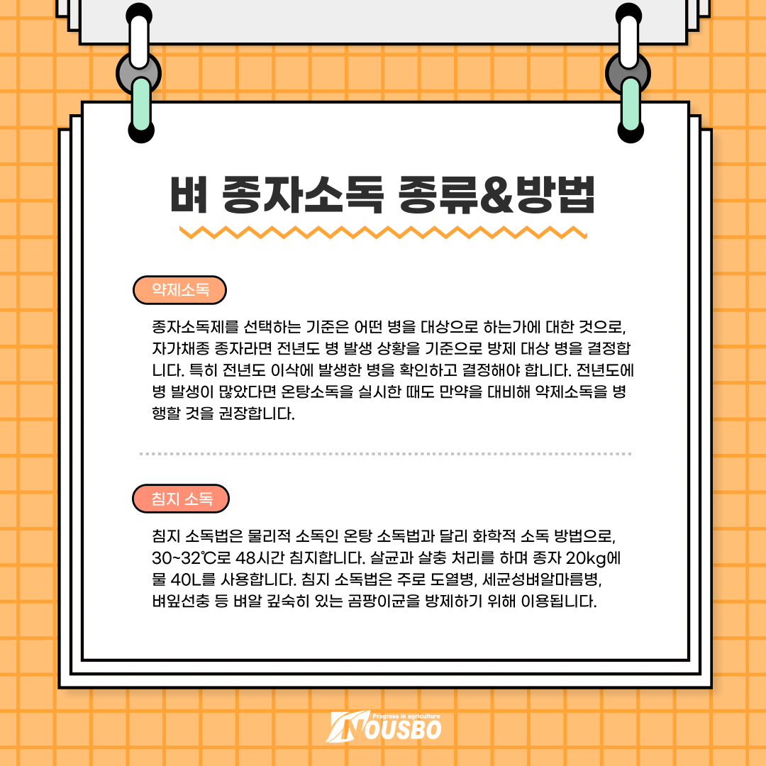 알쓸신잡_벼종자_006.png