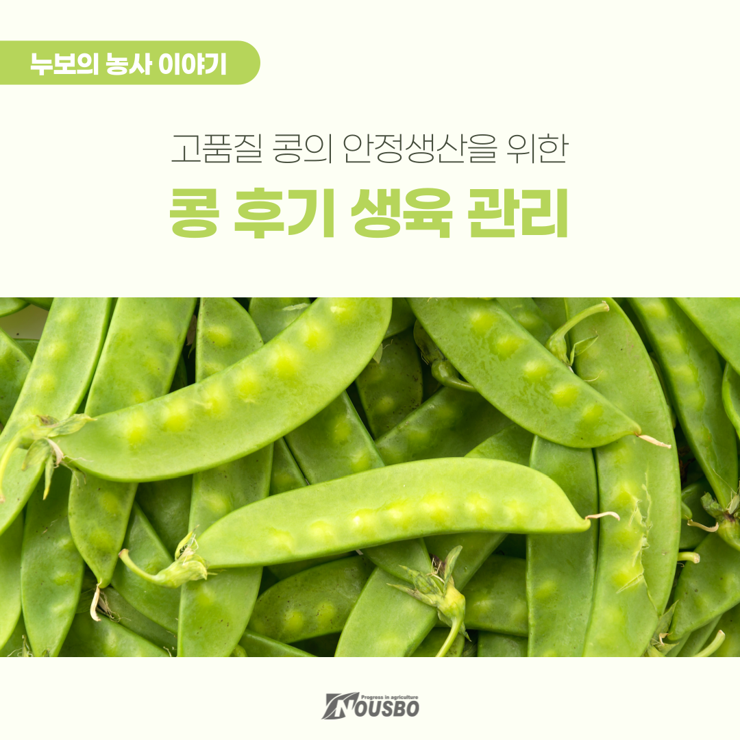 농사이야기(콩)_001.png