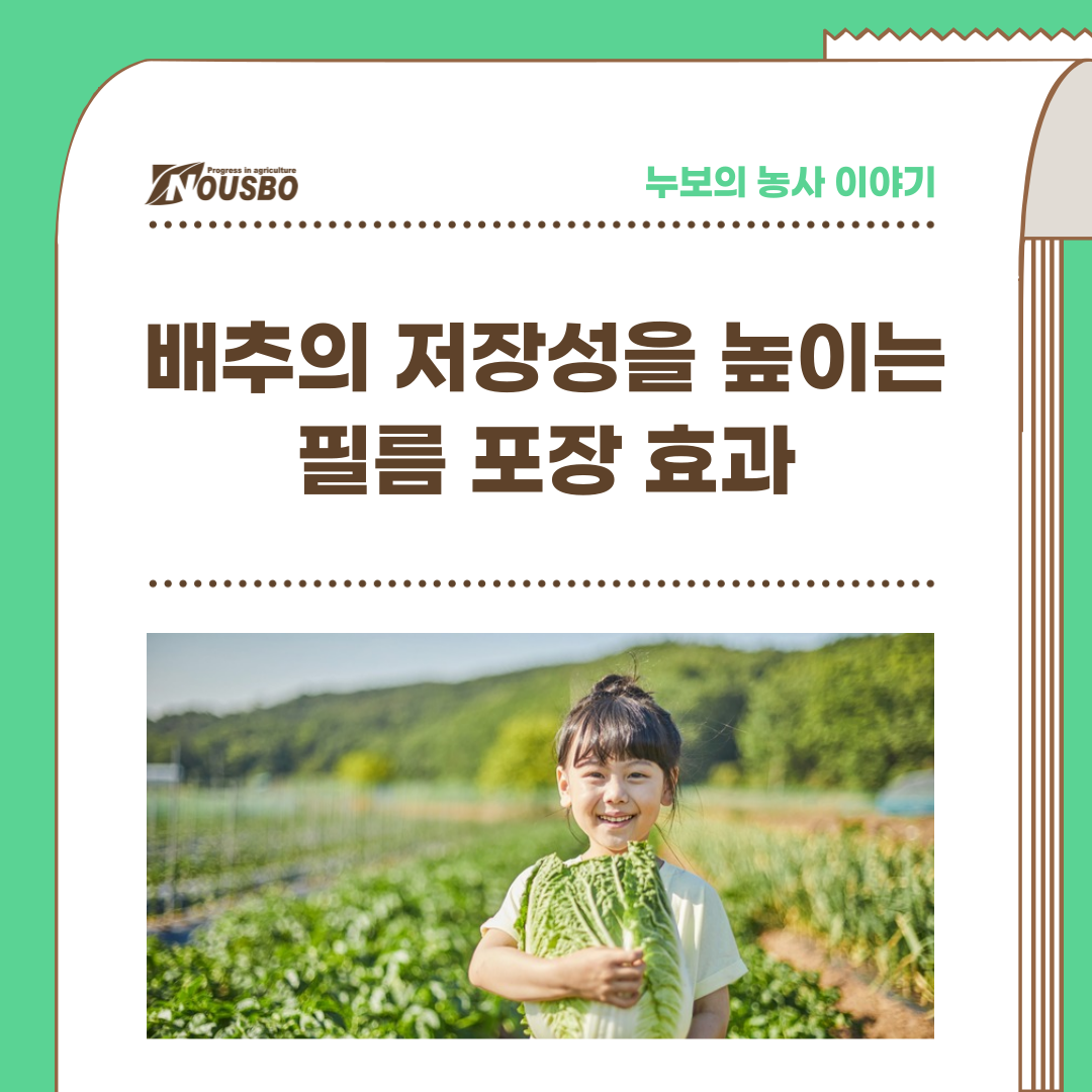 배추저장성_001.png