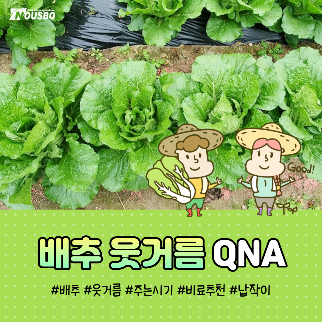 작물Q&A_001.png