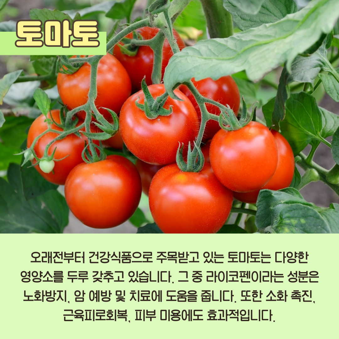 닥터조1편_002.png