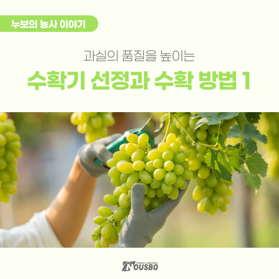 농사이야기(수확기)_001.png