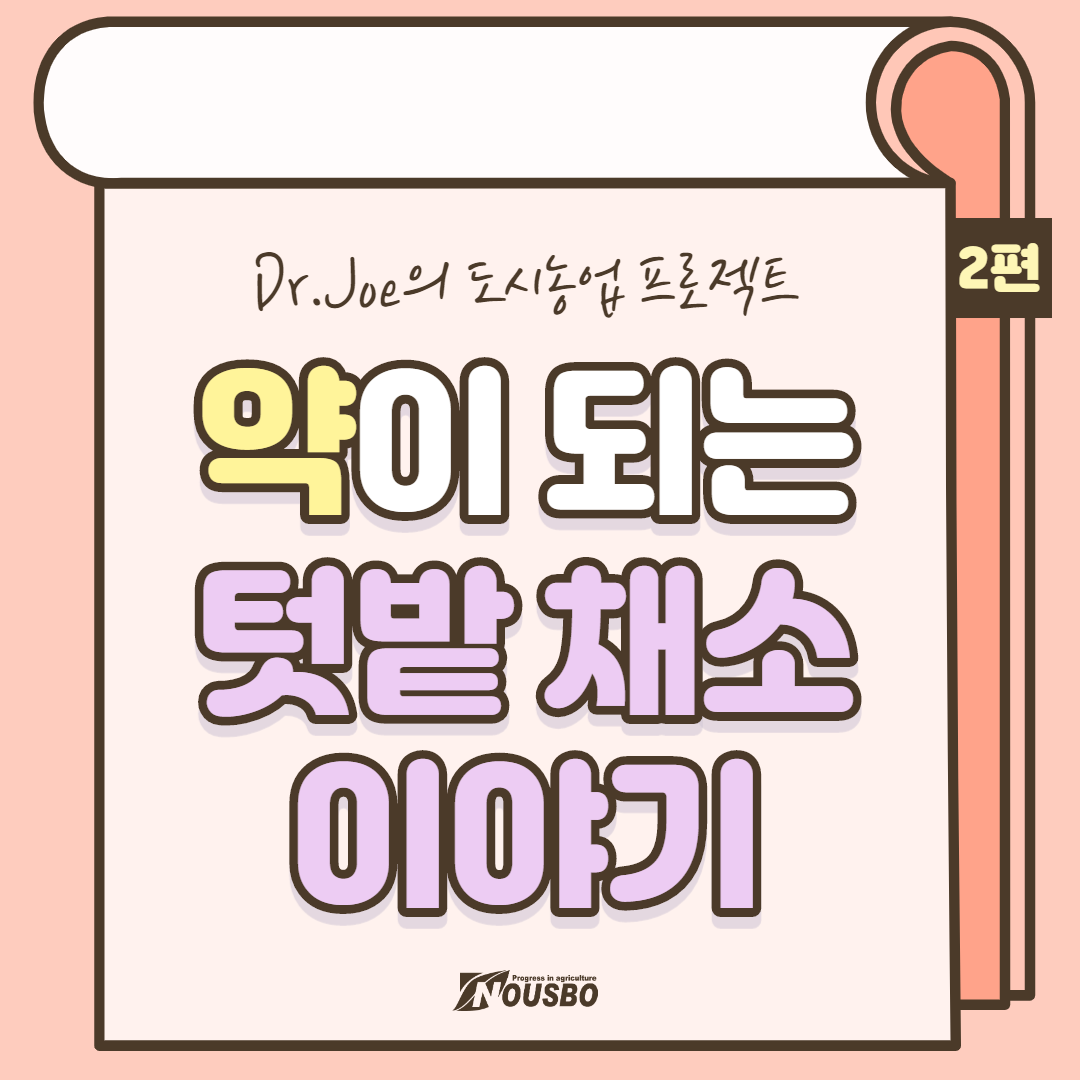 닥터조2편_001.png