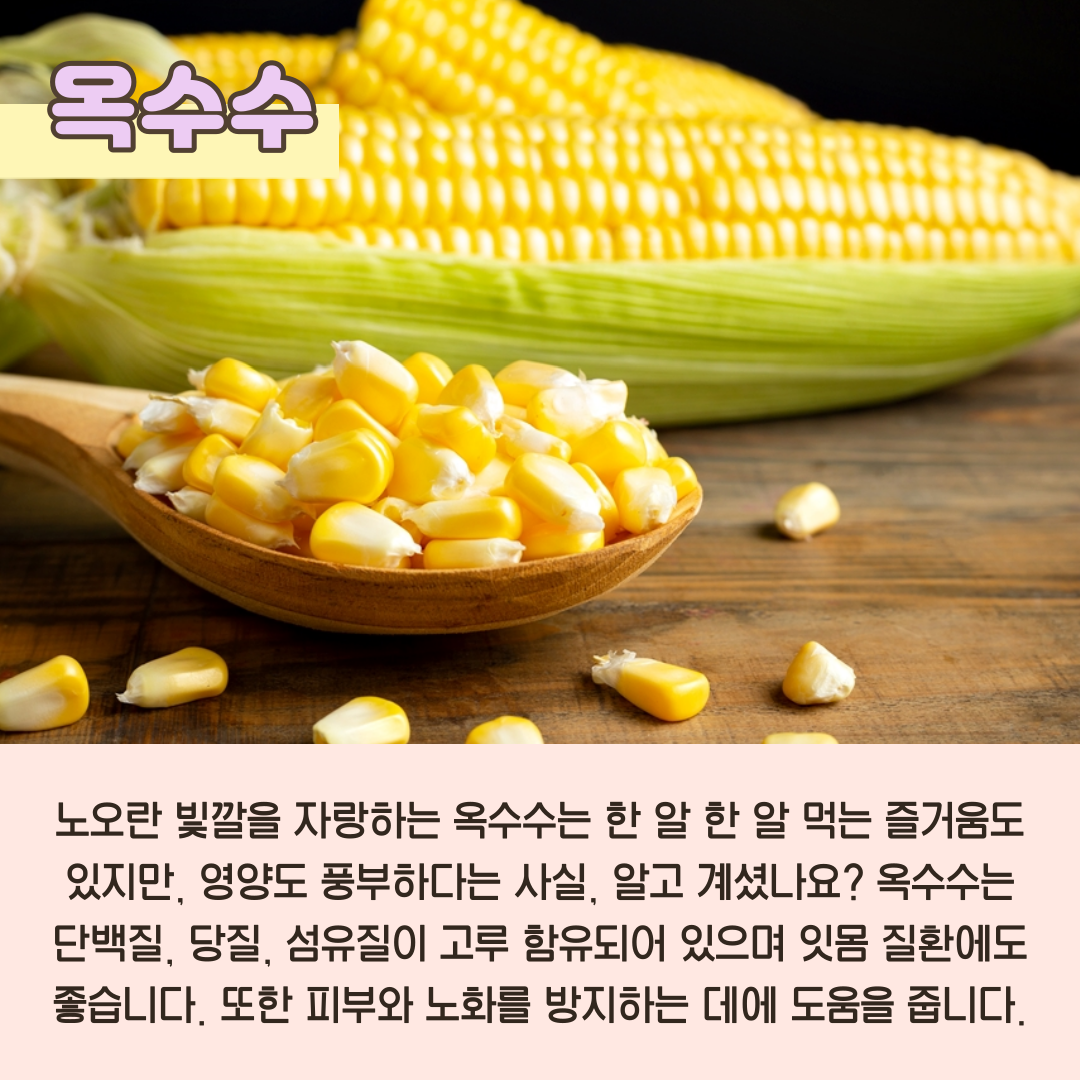 닥터조2편_002.png