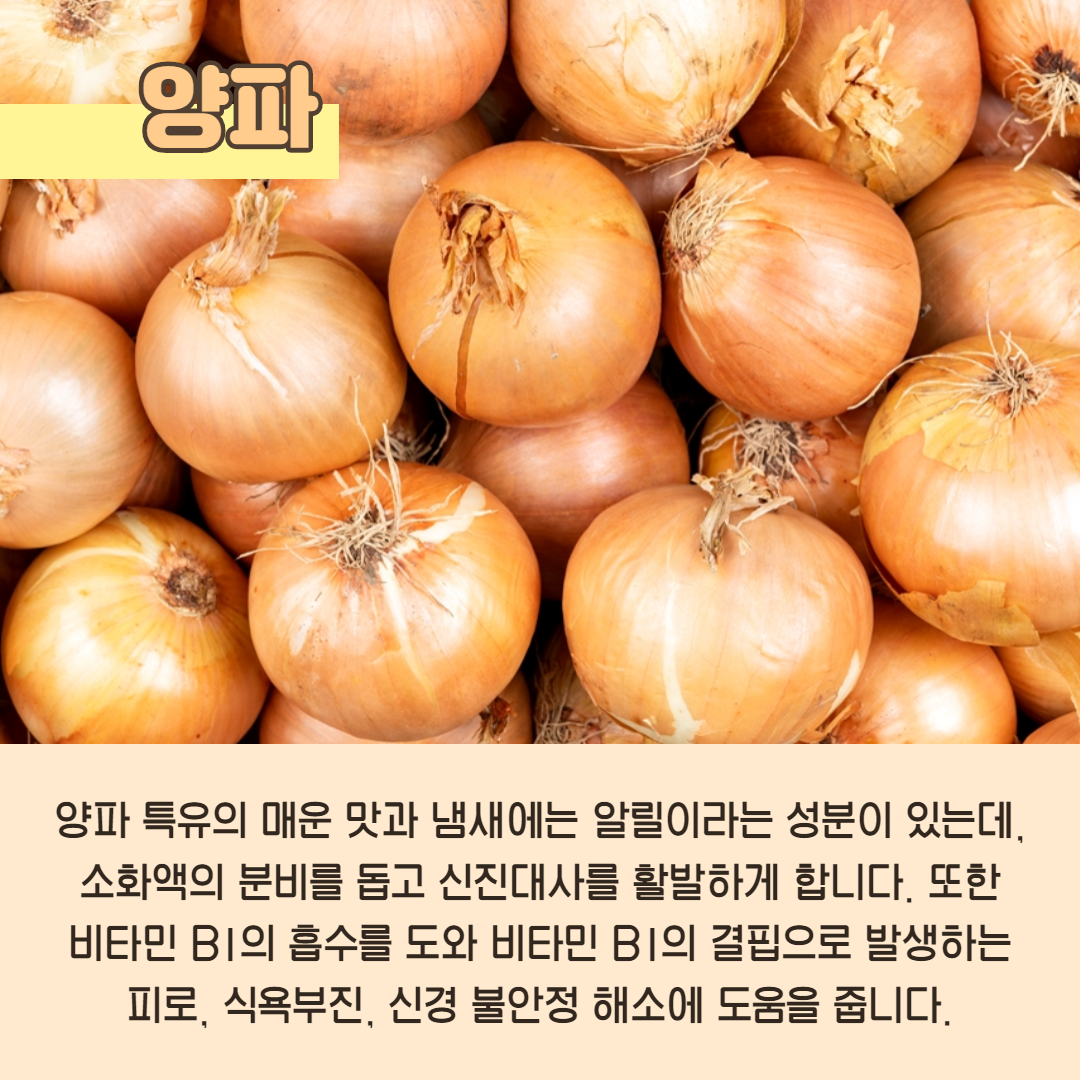 약이되는채소이야기3편_4.png