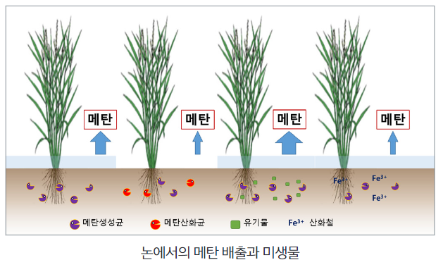 메탄경감_003.png