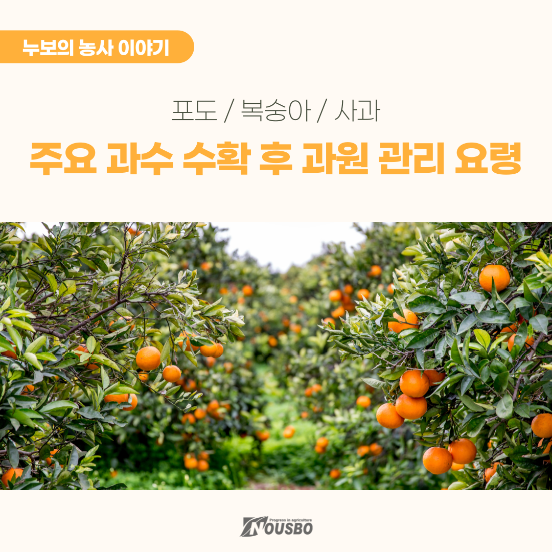 농사이야기(과수수확)_001.png