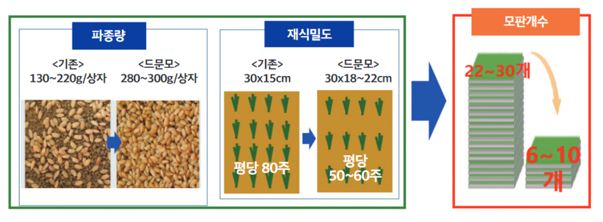 드문모_002.png