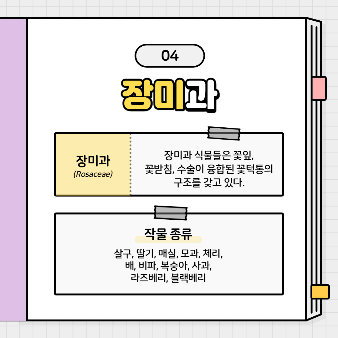 가족관계2탄_010.png