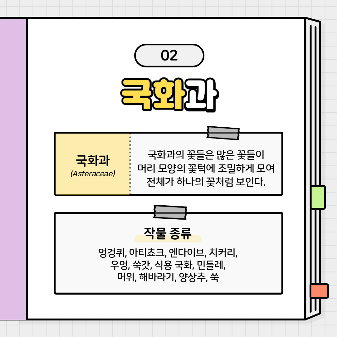 가족관계2탄_005.png