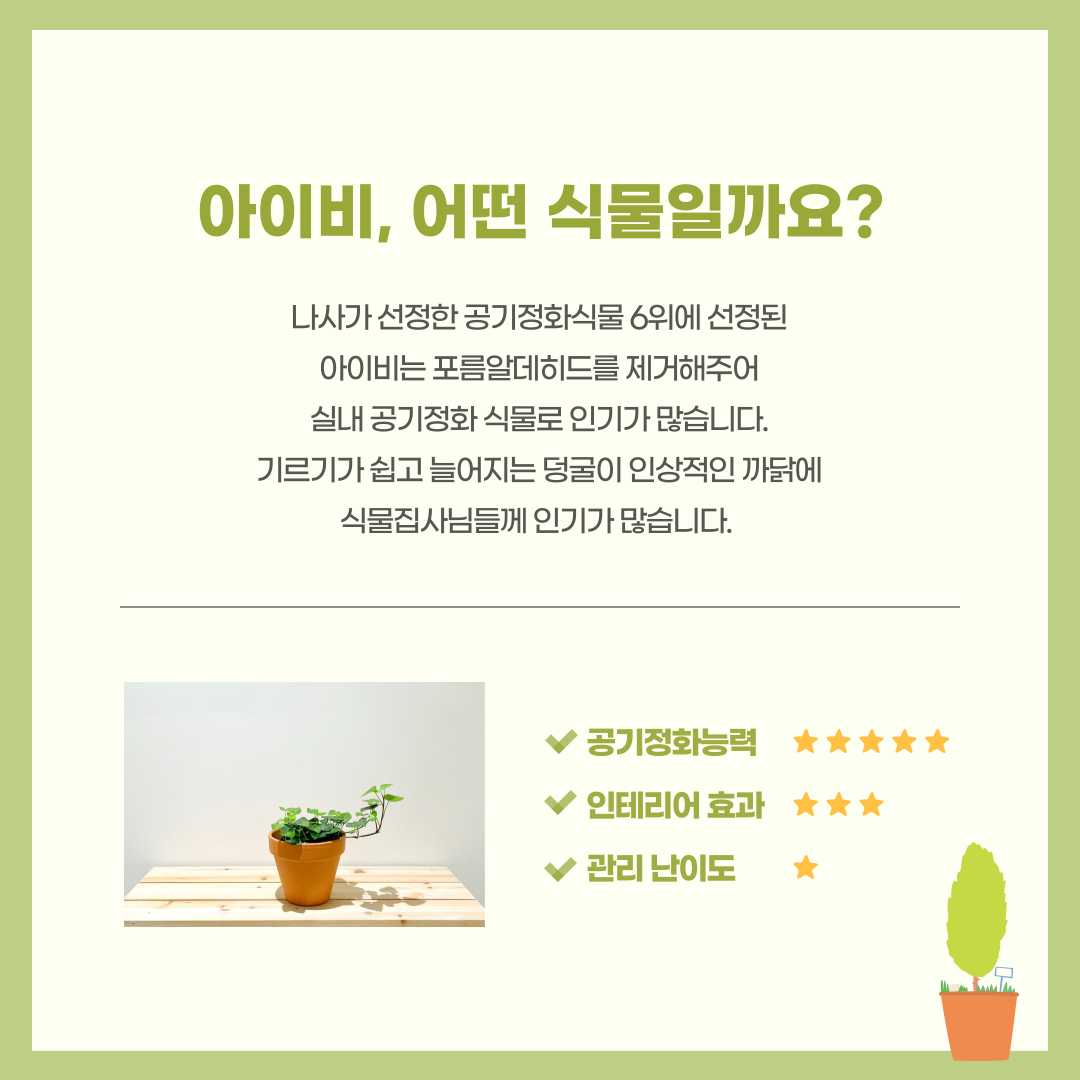 아이비_002.png