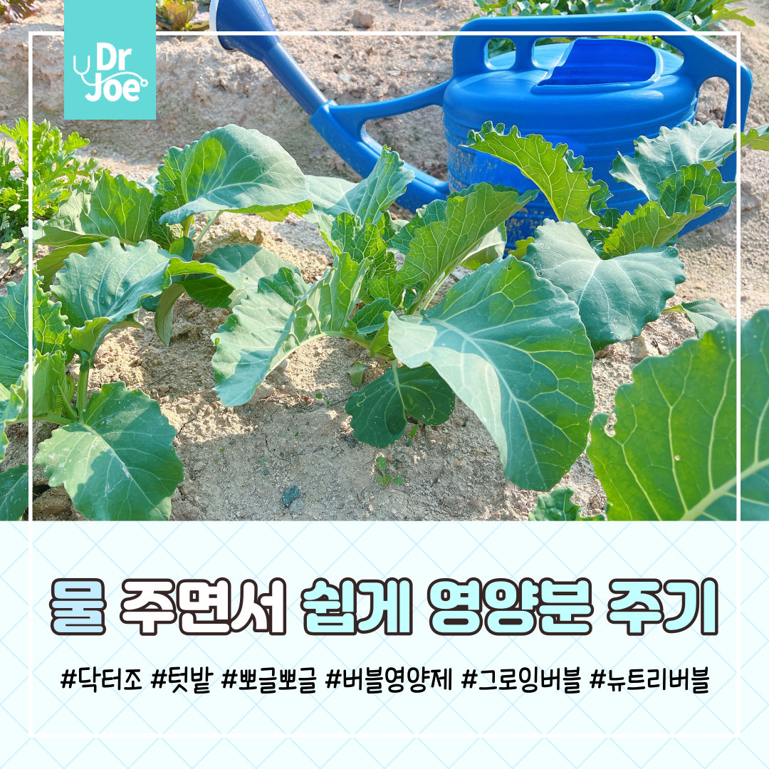 텃밭일기5_001.png