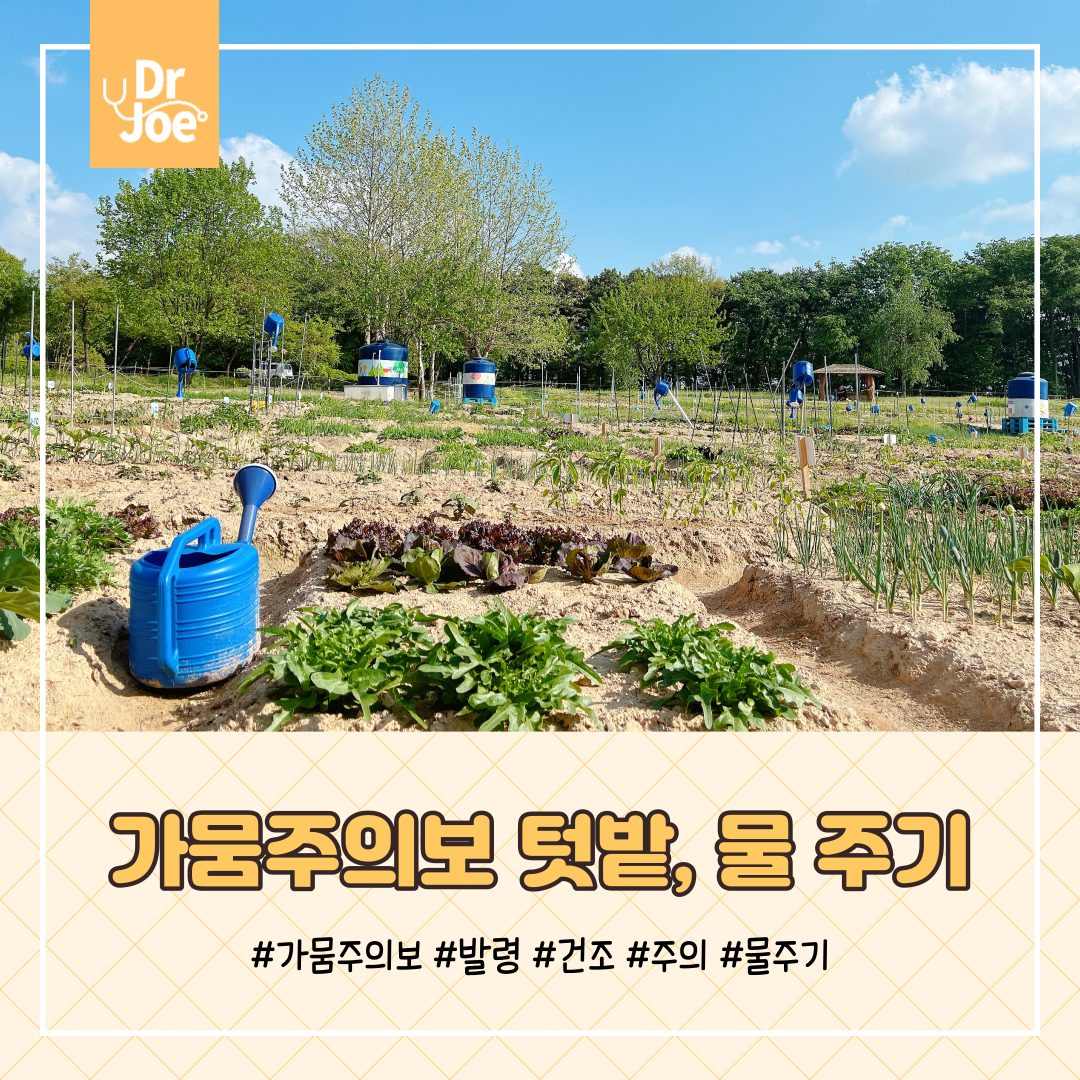 텃밭일기7_001.png