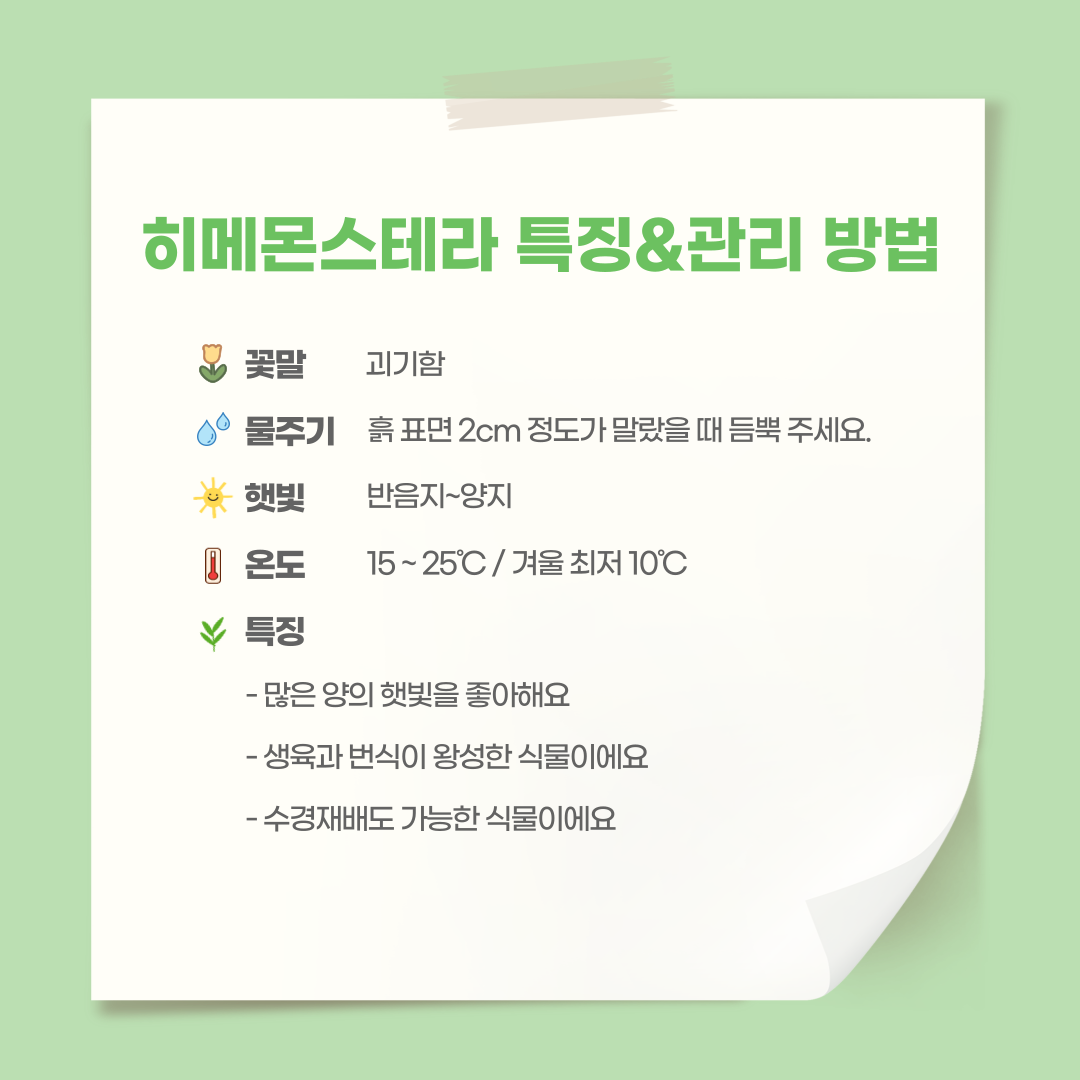 히메_003.png