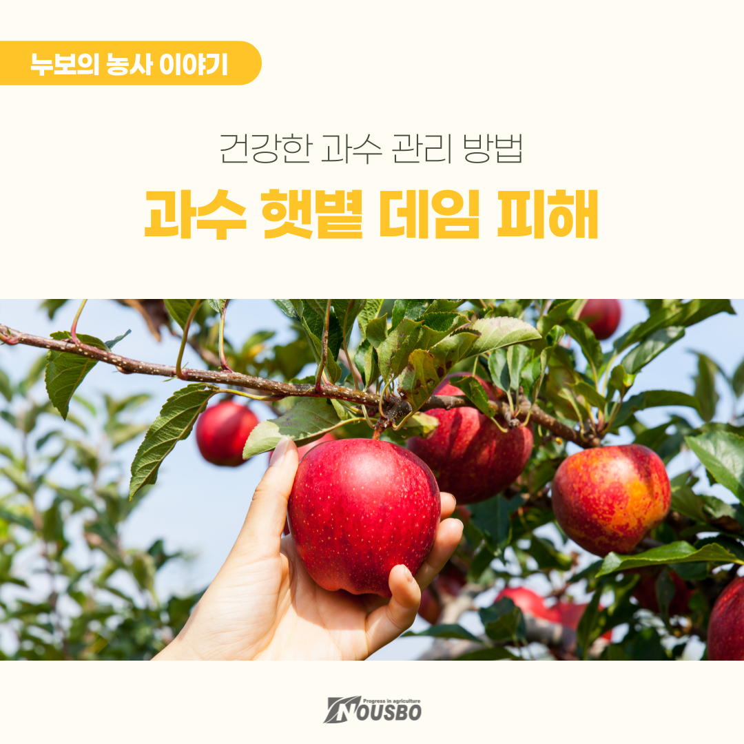 농사이야기(햇볕데임)_001.png