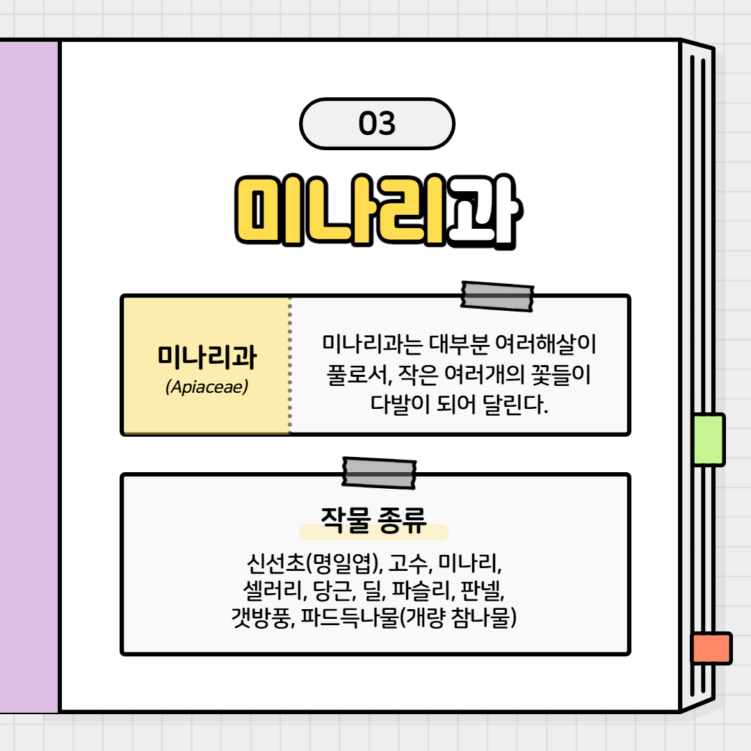 가족관계2탄_007.png