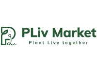 PLivMarket