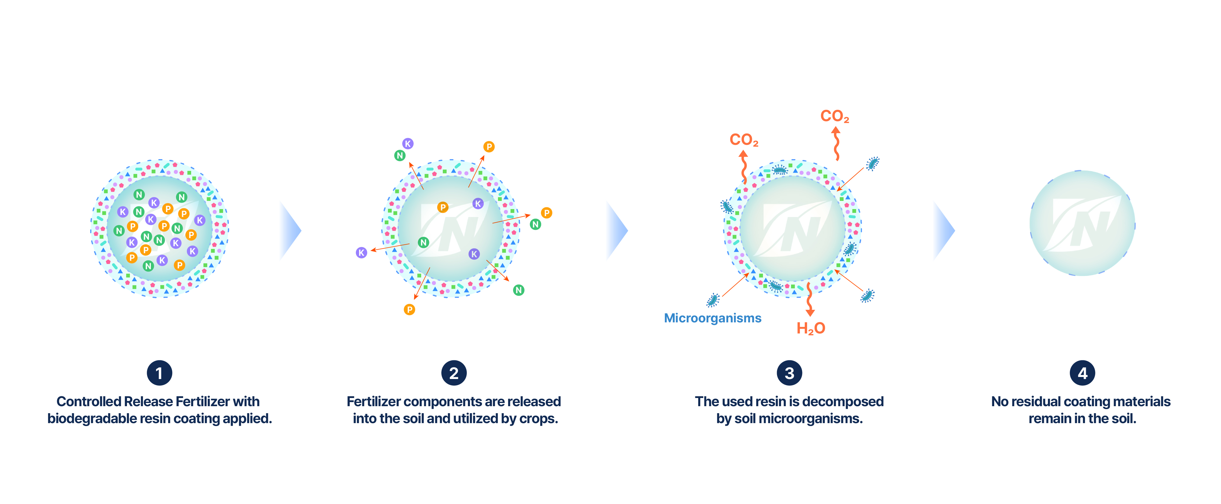 Schematic Diagram of the Decomposition Process of Controlled Release Fertilizers with Biodegradable Resins Coating_nousbo.jpg