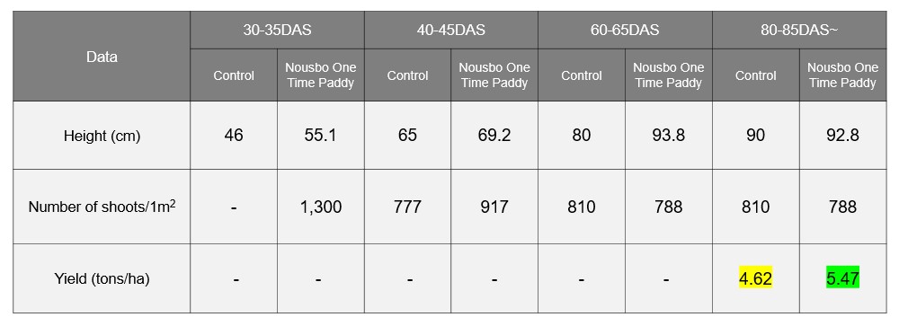 Yield and growth parameters of Rice affected by One Time Paddy fertilizer in Vietnam.JPG