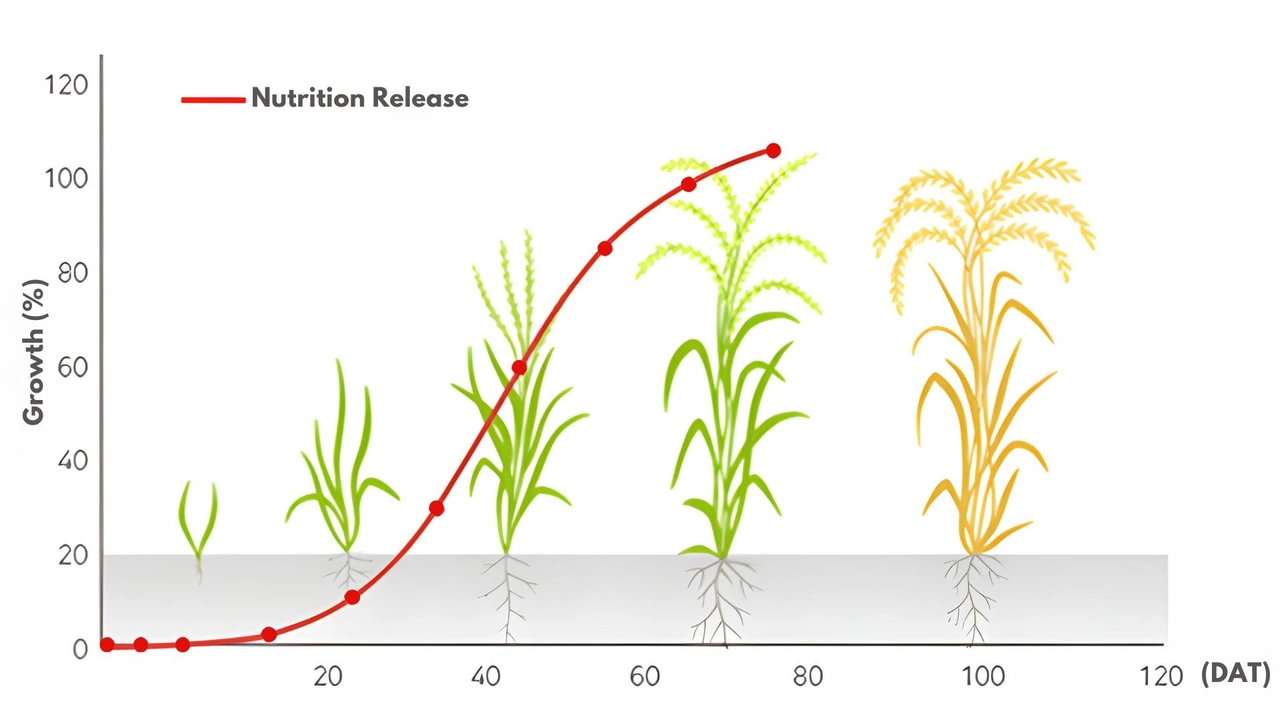 Nousbo_Hi-Cote Nutrition Release